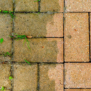 bricks
